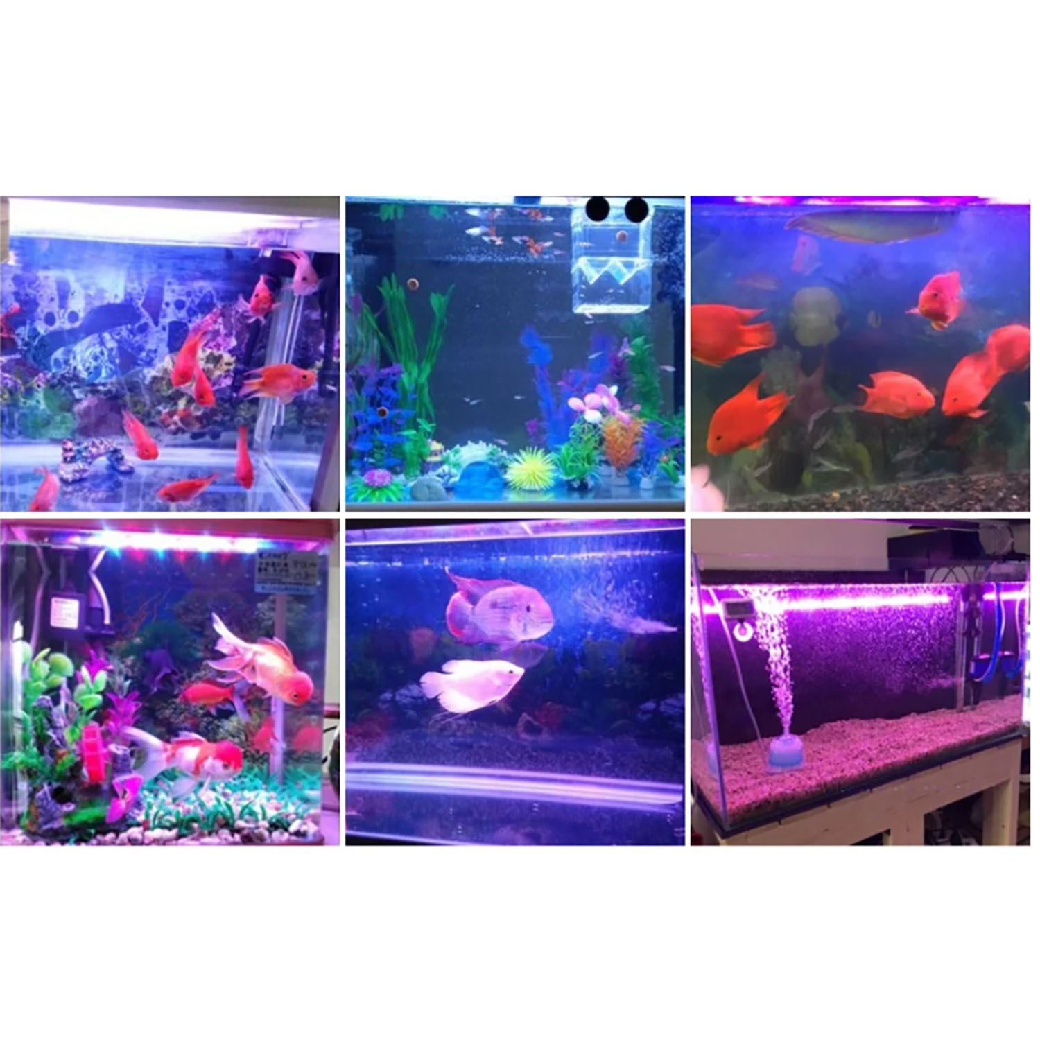 Marine Aquarium Uv Light - ไฟ LED สำหรับตู้ปลาทะเล กำลังสูง 50W 60W