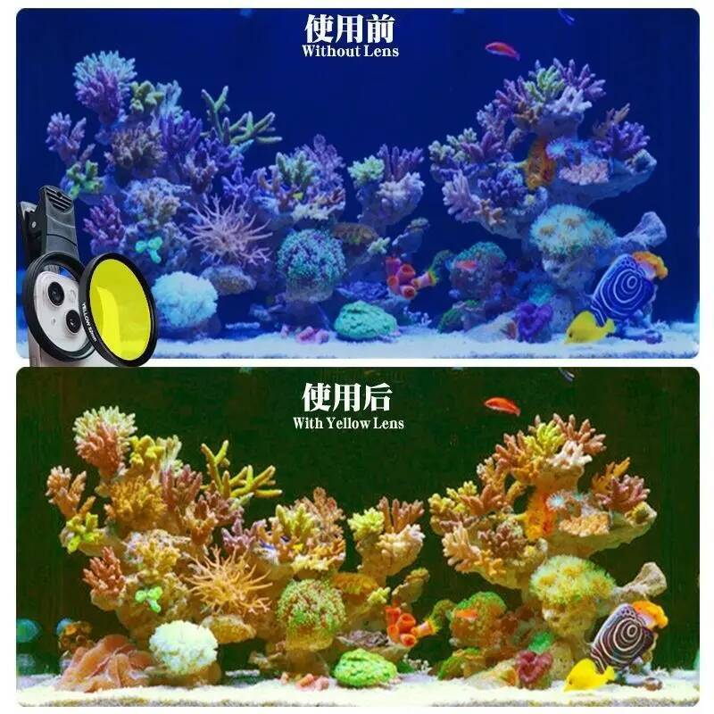เลนส์ปะการังตู้ปลา 52 มม. ตู้ป - Aquarium Marine Salt บทวิจารณ์และราคา