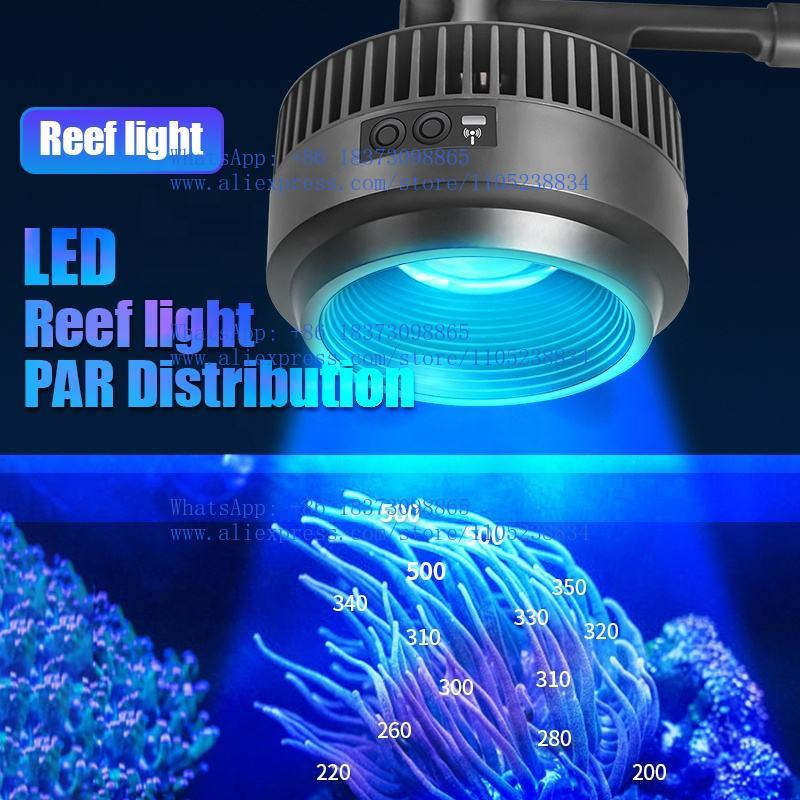 ไฟเลี้ยงปลาทะเลแบบฟูลสเปกตรัม  - Aquarium Marine Salt บทวิจารณ์และราคา