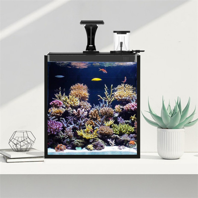 ตู้ปลาทะเลขนาดเล็กทำจากกระจกใส - Aquarium Marine Salt บทวิจารณ์และราคา