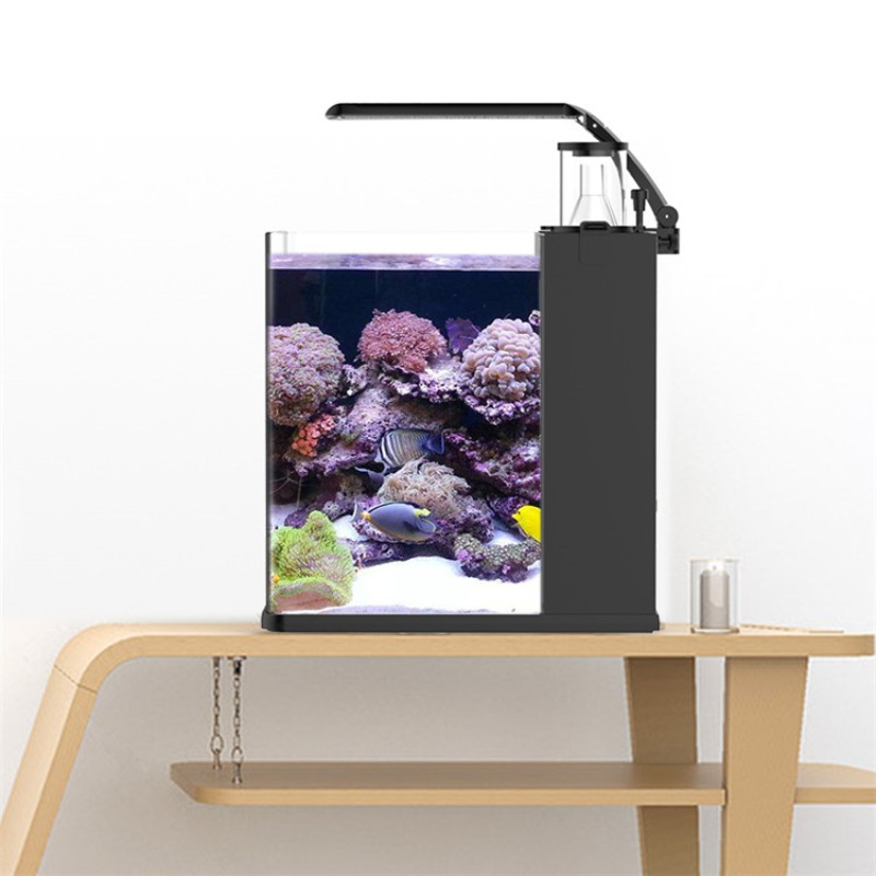 ตู้ปลาทะเลขนาดเล็กทำจากกระจกใส - Aquarium Marine Salt บทวิจารณ์และราคา