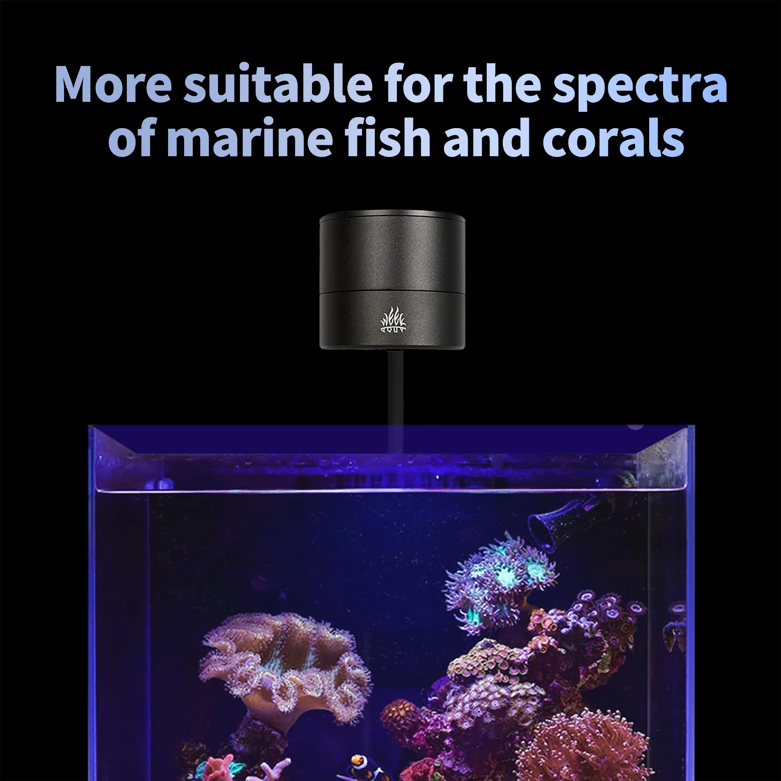 ไฟสำหรับตู้ปลา WEEK AQUA รุ่น  - Aquarium Marine Salt บทวิจารณ์และราคา