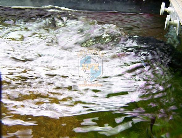ปั๊มสร้างคลื่นซันซัน Jvp-200 ร - Aquarium Marine Salt บทวิจารณ์และราคา