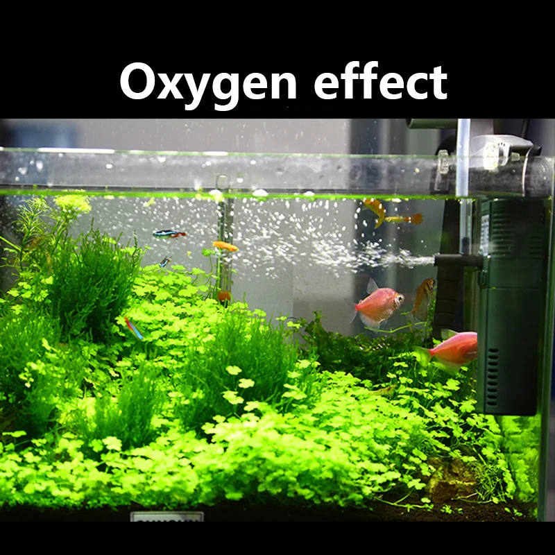 Sunsun 311B 111B ขนาดเล็กนาโน6 - Marine Aquarium Uv Light บทวิจารณ์และราคา